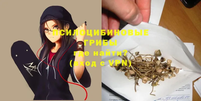 Галлюциногенные грибы MAGIC MUSHROOMS  Советская Гавань 